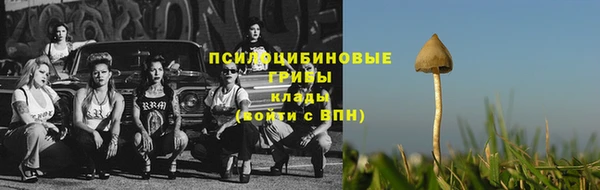 винт Беломорск