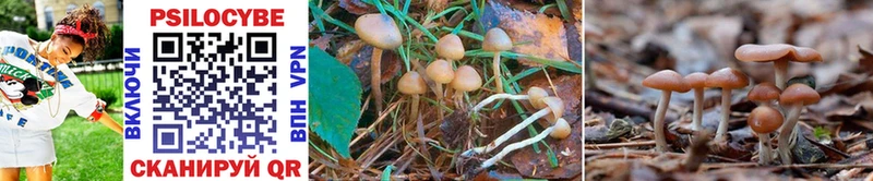 Галлюциногенные грибы MAGIC MUSHROOMS  Печора 